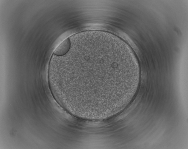 X0000110941386200907171559