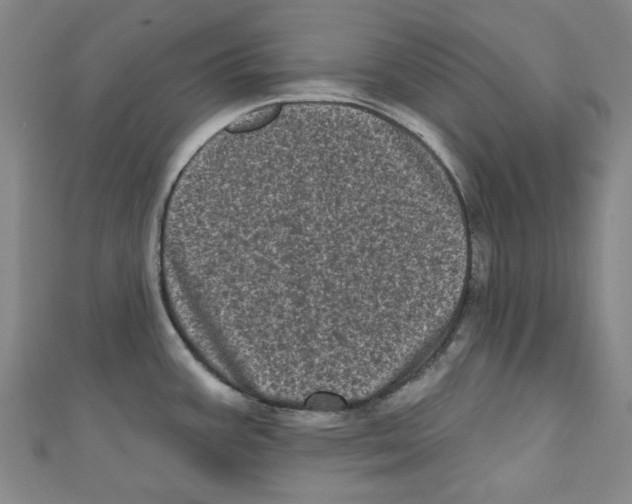 X0000110941387200907171559