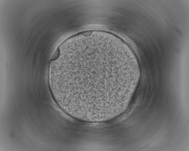 X0000110941390200907171559