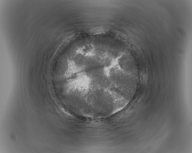X0000110941393200907171558