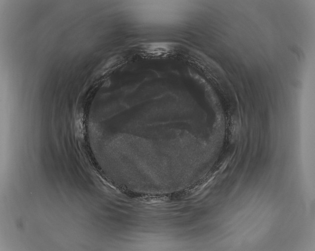 X0000110941394200907171558