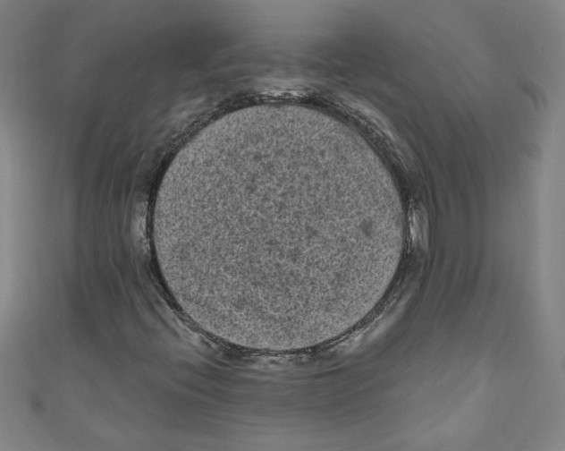 X0000110941396200907171558