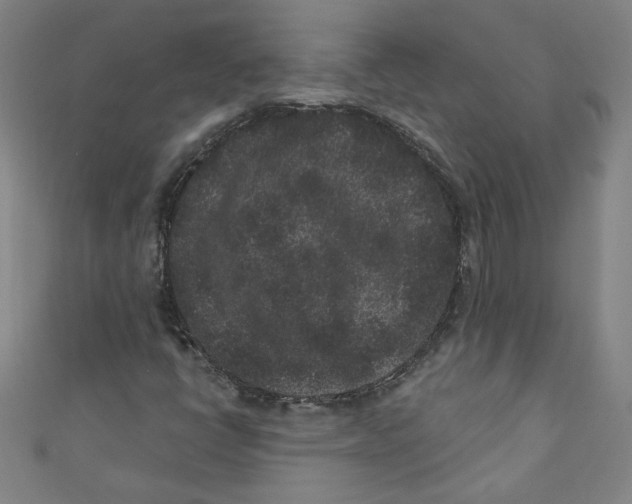X0000110941398200907171558