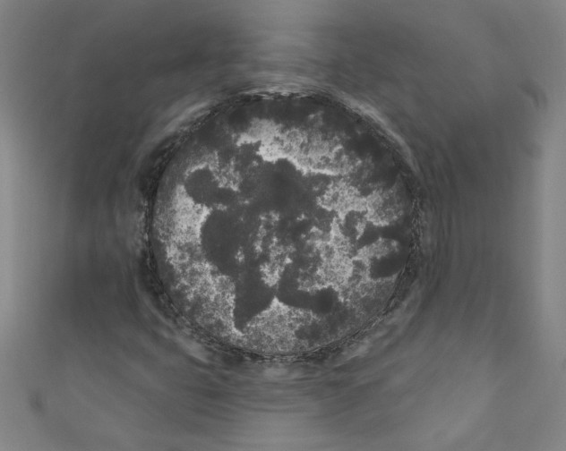 X0000110941399200907171558