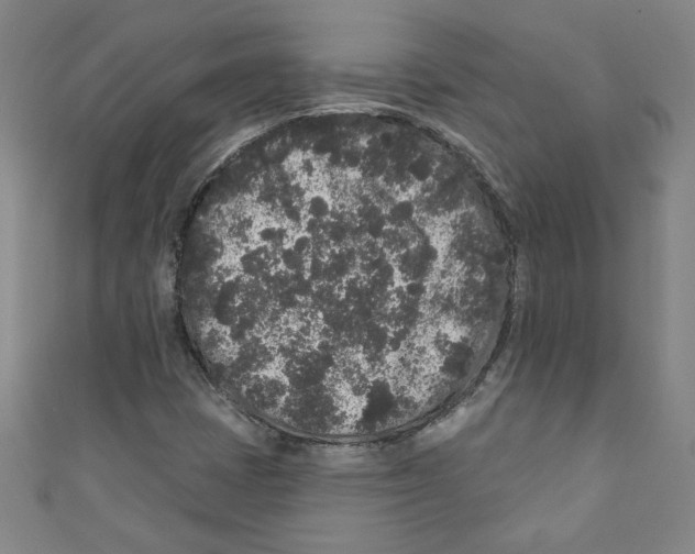 X0000110941401200907171558