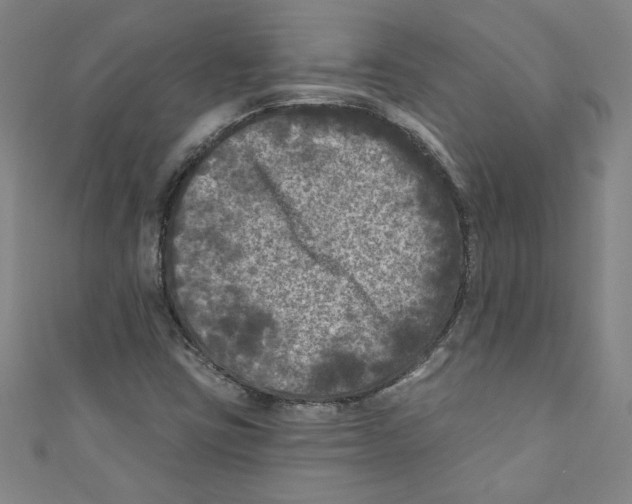 X0000110941403200907171558
