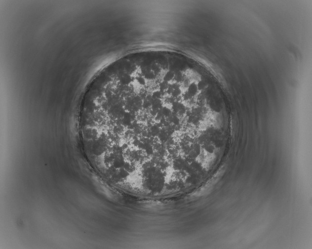 X0000110941405200907171558