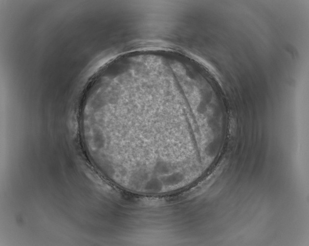 X0000110941407200907171558