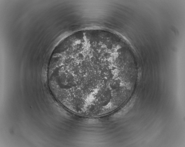 X0000110941409200907171558