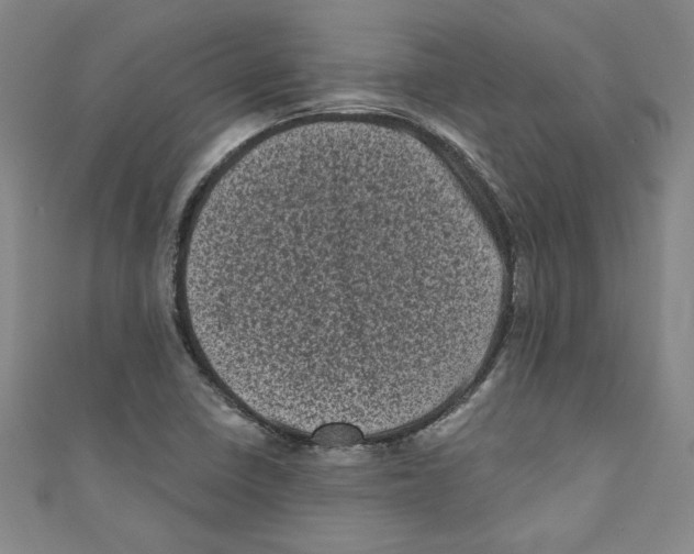 X0000110941410200907171559