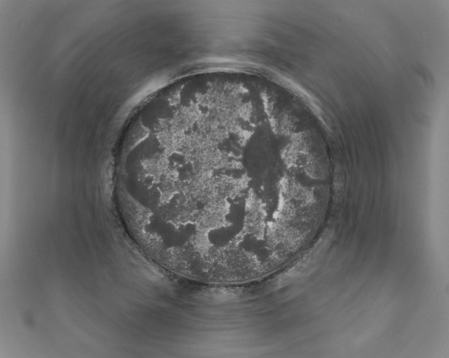 X0000110941411200907171559