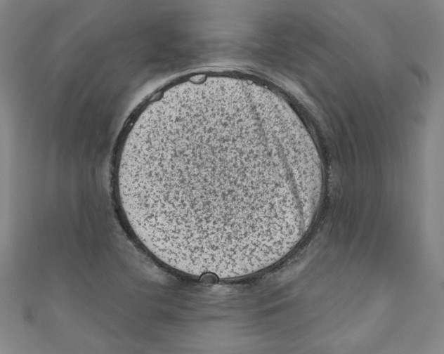X0000110941412200907171559