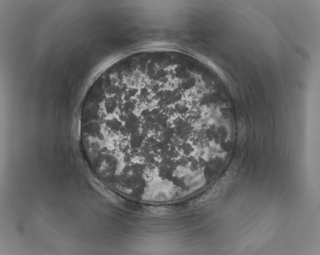 X0000110941413200907171559
