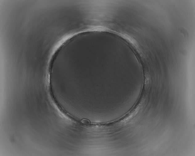X0000110941414200907171559
