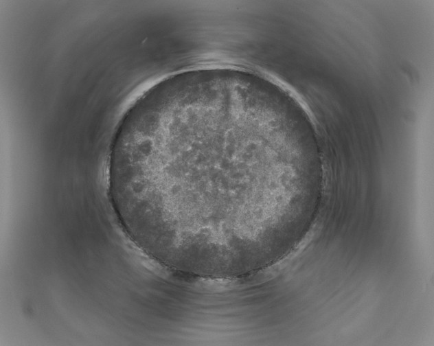 X0000110941415200907171559