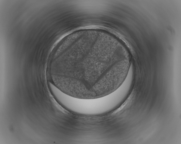 X0000110941417200907171559