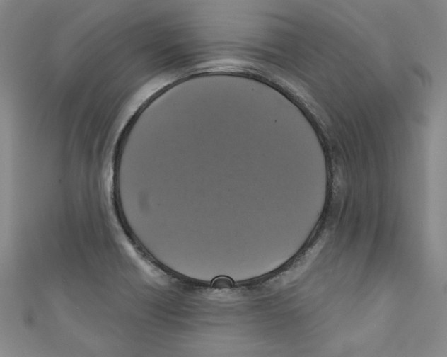 X0000110941418200907171559