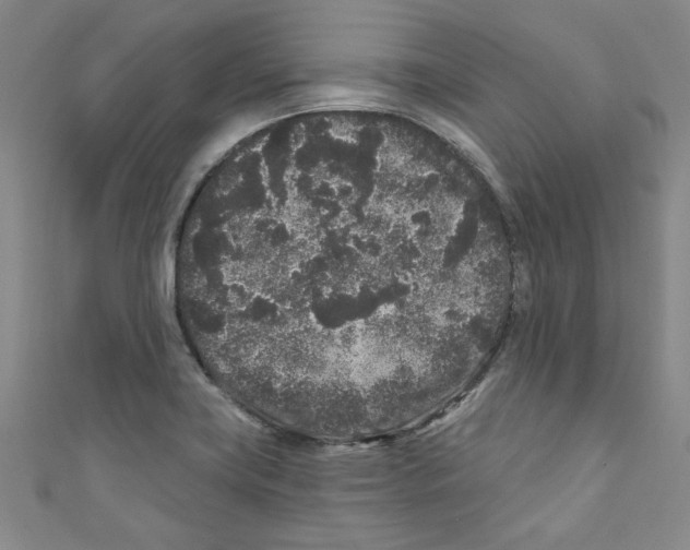 X0000110941419200907171559
