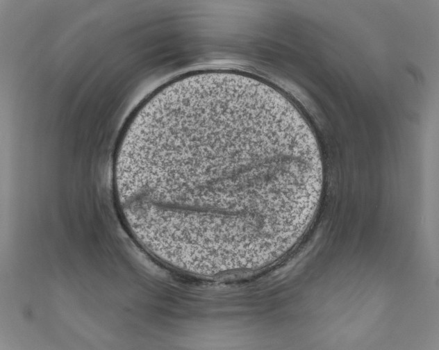 X0000110941420200907171559