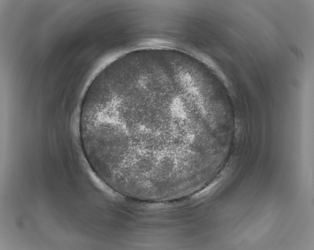 X0000110941421200907171559