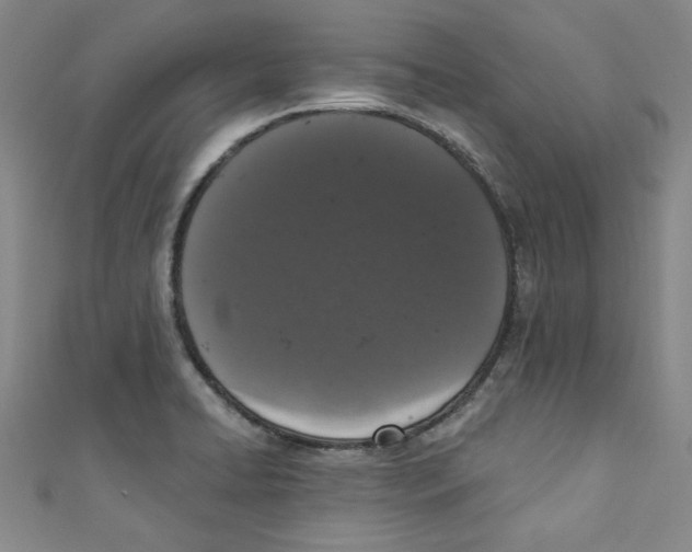 X0000110941422200907171559