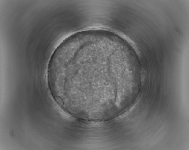 X0000110941423200907171559