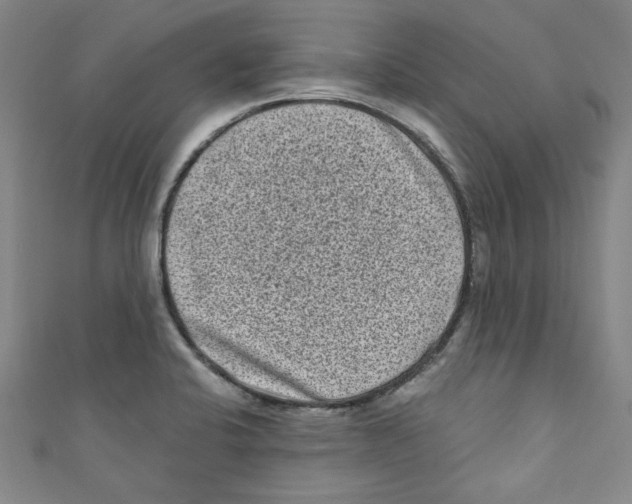 X0000110941424200907171559