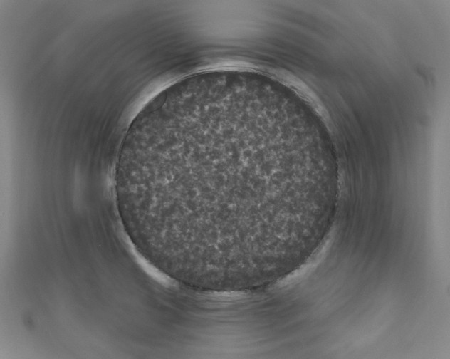 X0000110941425200907171559