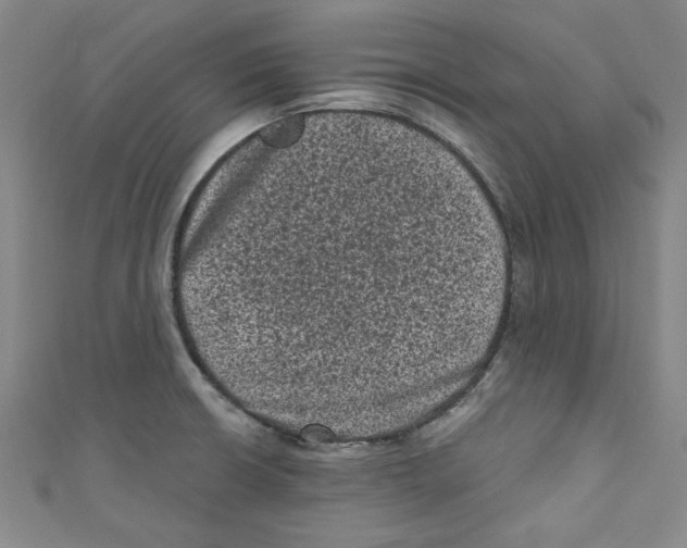 X0000110941426200907171559