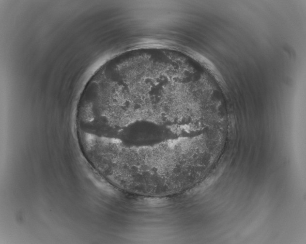 X0000110941427200907171559