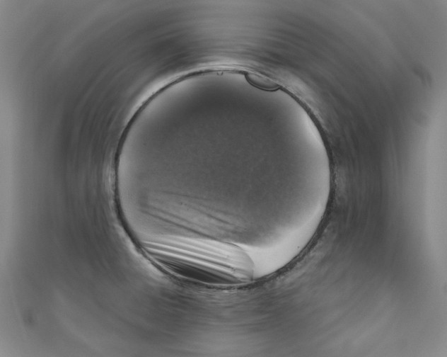 X0000110941428200907171559