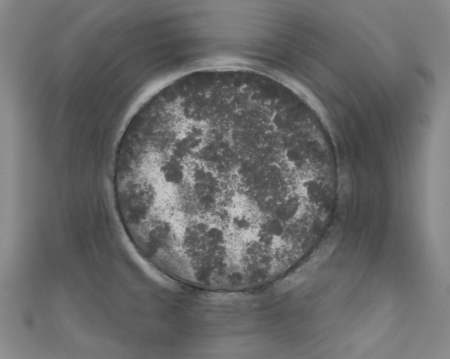 X0000110941429200907171559