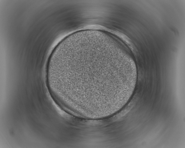X0000110941430200907171559