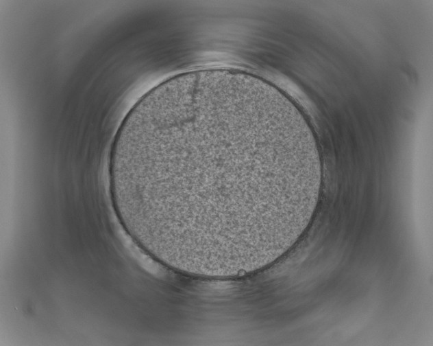 X0000110941431200907171559