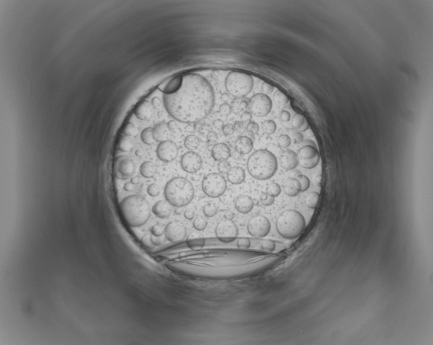 X0000110941432200907171559