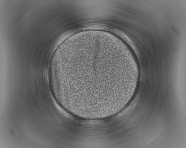 X0000110941433200907171559