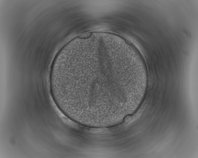 X0000110941434200907171559