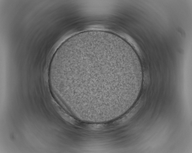 X0000110941435200907171559