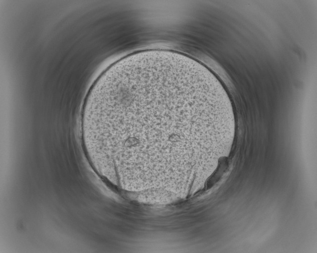 X0000110941436200907171559