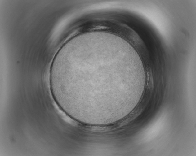 X0000110941439200907171559