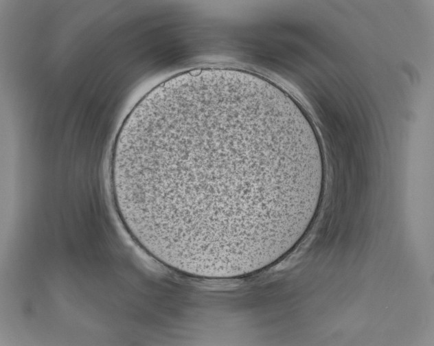 X0000110941440200907171559