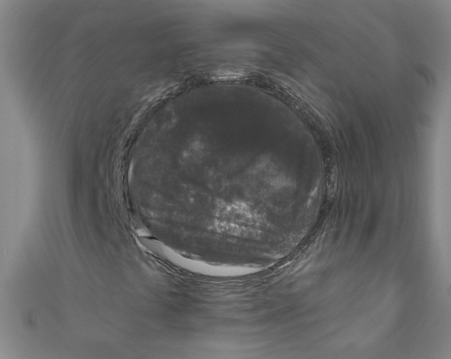 X0000110941441200907171558