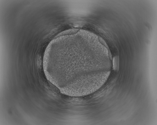 X0000110941443200907171558