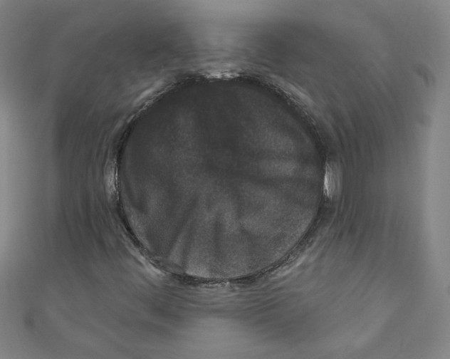 X0000110941444200907171558