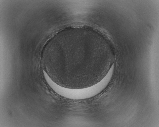 X0000110941445200907171558