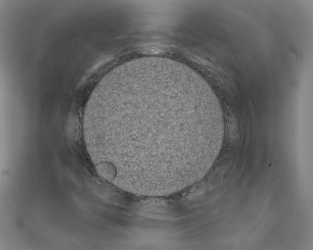 X0000110941446200907171558