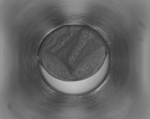 X0000110941449200907171558