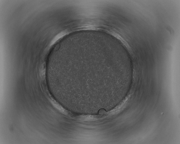 X0000110941450200907171558