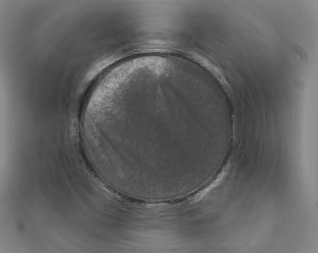 X0000110941453200907171558