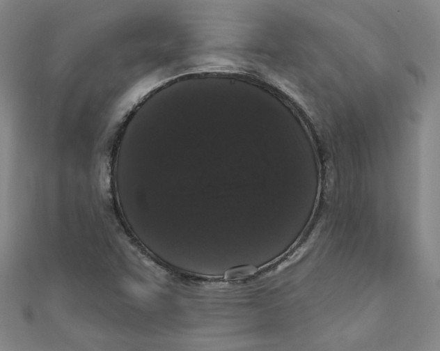 X0000110941455200907171558